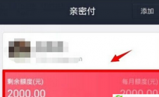 app问答:支付宝秘密支付有人数限制吗？