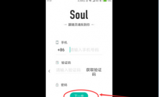 app问答:灵魂只能用手机号注册吗？灵魂如何注册账号？