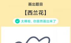 app问答:QQ绘制红包西兰花如何绘制西兰花绘画教程