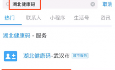 app问答:湖北健康码在哪里申请？湖北健康码怎么填？