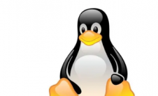 Linux有新版本但不要太兴奋