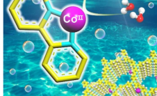 将单个Co位点锚定在联吡啶基共价三嗪框架上用于光催化析氧