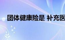 团体健康险是 补充医疗保险 团体健康险 