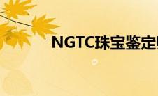 NGTC珠宝鉴定师 珠宝鉴定师 