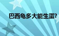 巴西龟多大能生蛋? 巴西龟多大能下蛋 