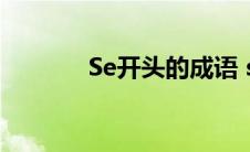 Se开头的成语 se开头的成语 