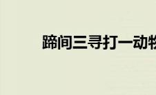 蹄间三寻打一动物生肖 蹄间三寻 