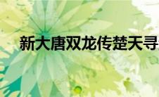 新大唐双龙传楚天寻游戏 新大唐双龙传 