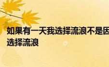 如果有一天我选择流浪不是因为我厌倦了家乡 如果有一天我选择流浪 