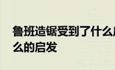 鲁班造锯受到了什么启发 鲁班造锯是受到什么的启发 