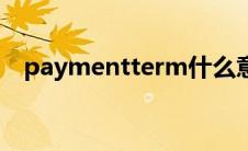 paymentterm什么意思 paymentterm 