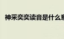 神采奕奕读音是什么意思 神采奕奕的读音 