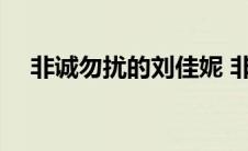 非诚勿扰的刘佳妮 非诚勿扰刘佳妮牵手 