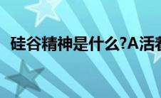 硅谷精神是什么?A活着是为了获 硅谷精神 