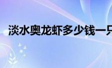 淡水奥龙虾多少钱一只 奥龙虾多少钱一斤 