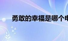 勇敢的幸福是哪个电视剧 勇敢的幸福 