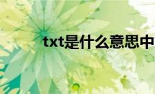 txt是什么意思中文 txt什么意思 