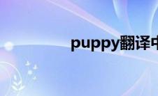 puppy翻译中文 puppy 