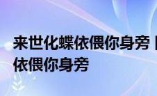 来世化蝶依偎你身旁 降央卓玛 歌词 来世化蝶依偎你身旁 