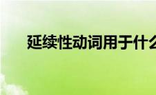 延续性动词用于什么时态 延续性动词 