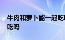 牛肉和萝卜能一起吃吗白 牛肉和萝卜能一起吃吗 