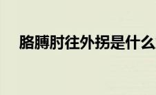 胳膊肘往外拐是什么意思 拐是什么意思 