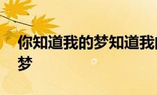 你知道我的梦知道我的痛的说说 你知道我的梦 