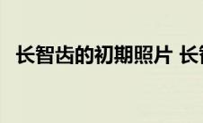 长智齿的初期照片 长智齿是运气要来了吗 