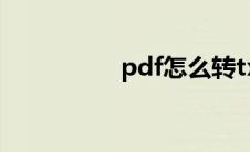 pdf怎么转txt txt格式 