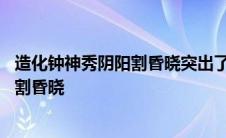 造化钟神秀阴阳割昏晓突出了泰山什么特点 造化钟神秀阴阳割昏晓 