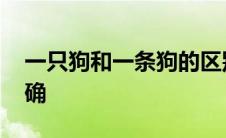 一只狗和一条狗的区别 一只狗还是一条狗正确 