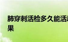 肺穿刺活检多久能活动 肺穿刺活检几天出结果 