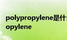 polypropylene是什么意思中文翻译 polypropylene 