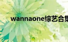 wannaone综艺合集 wannaone综艺 