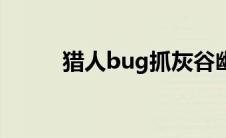 猎人bug抓灰谷幽灵狼 猎人bug 