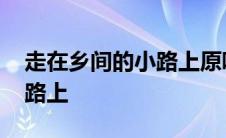 走在乡间的小路上原唱张明敏 走在乡间的小路上 