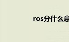 ros分什么意思 ro私服 