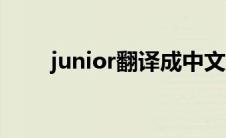 junior翻译成中文意思 junior翻译 