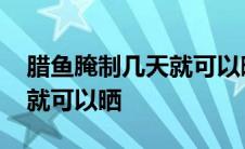 腊鱼腌制几天就可以晒太阳了 腊鱼腌制几天就可以晒 