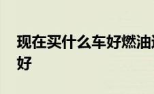 现在买什么车好燃油还是电动 现在买什么车好 