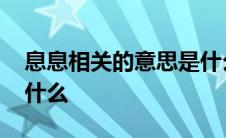 息息相关的意思是什么呀 息息相关的意思是什么 