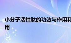 小分子活性肽的功效与作用和危害 小分子活性肽的功效与作用 