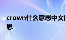 crown什么意思中文翻译成为 crown什么意思 