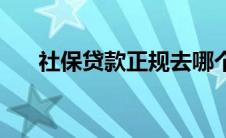 社保贷款正规去哪个银行办理 社保贷 