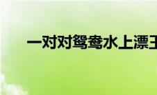 一对对鸳鸯水上漂王二妮演唱 一对对 