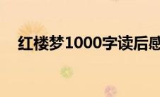 红楼梦1000字读后感 红楼梦读后感300 