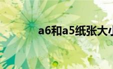 a6和a5纸张大小 a5纸张大小 