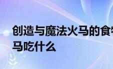 创造与魔法火马的食物怎么做 创造与魔法火马吃什么 