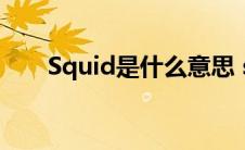 Squid是什么意思 squid是什么意思 