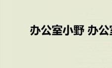 办公室小野 办公室男女关系混乱 